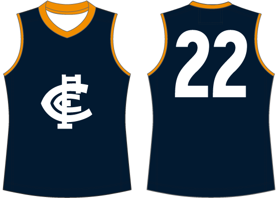 Carlton One Off/Promo Jumpers