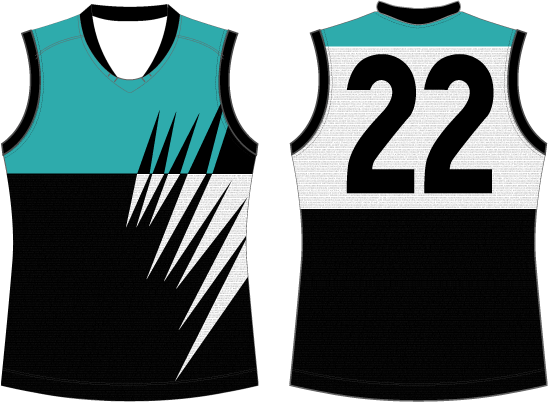 Port Adelaide One Off Jumpers